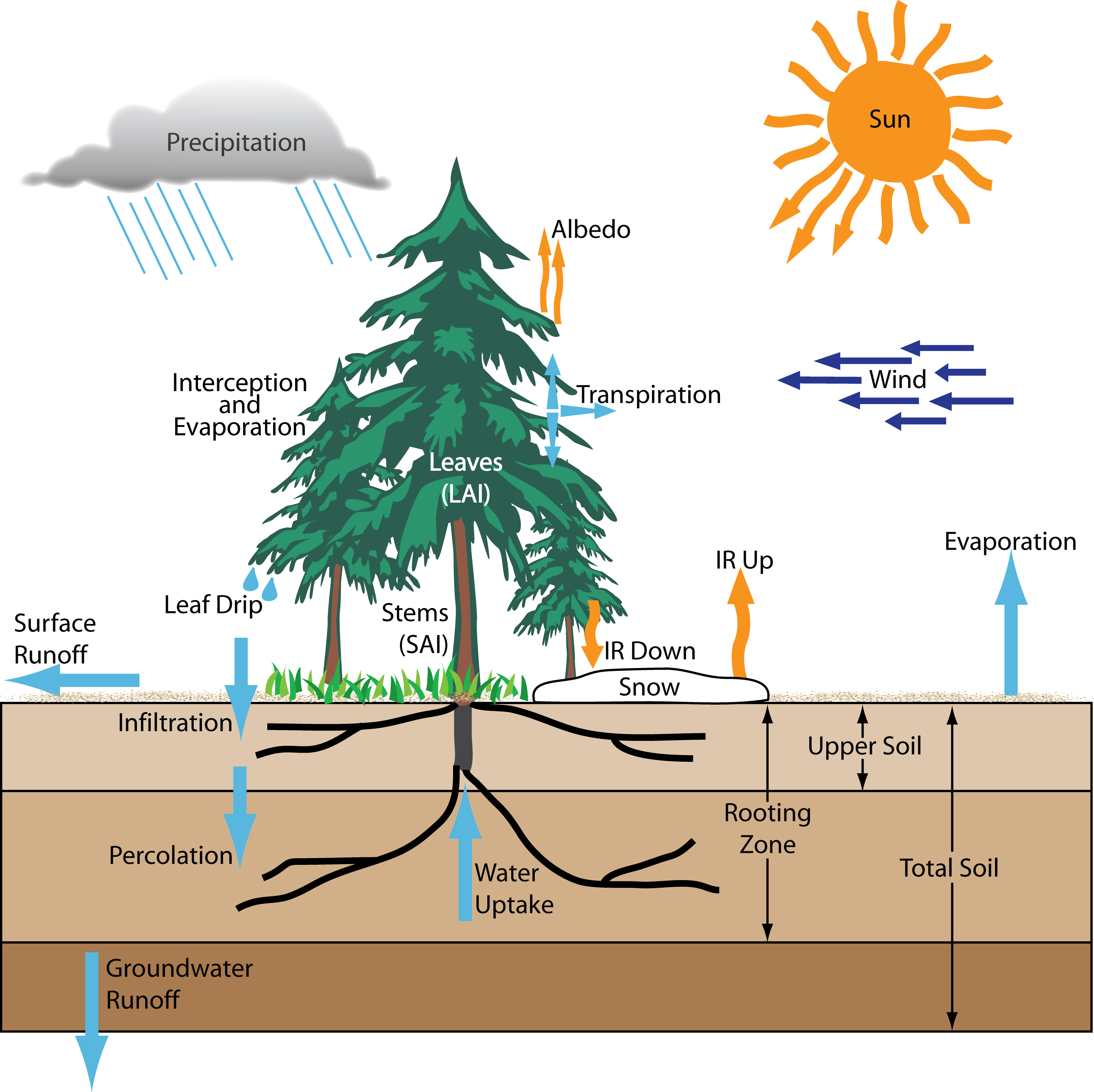 energy-and-water-balance-background-regional-and-global-climate